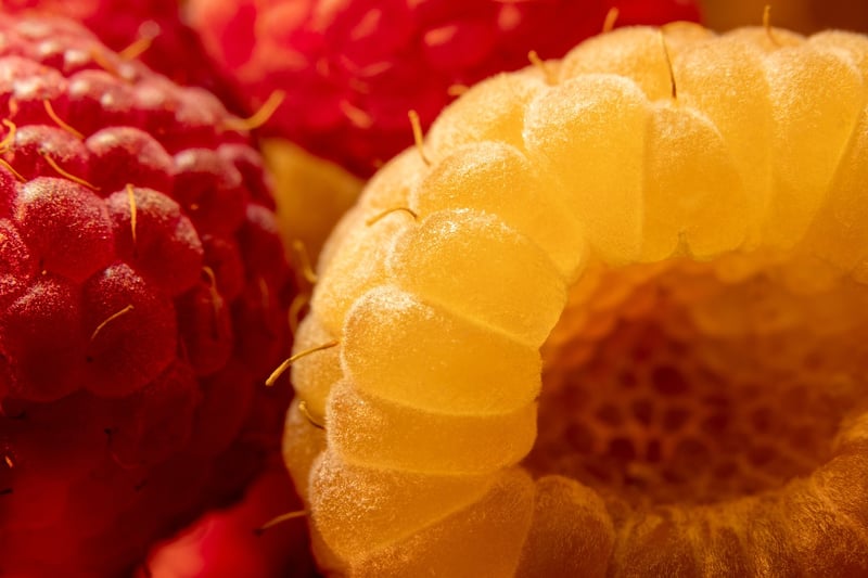 Raspberry Tart