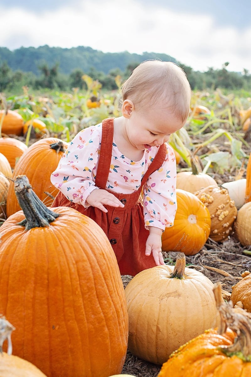 Pumpkin Pie
